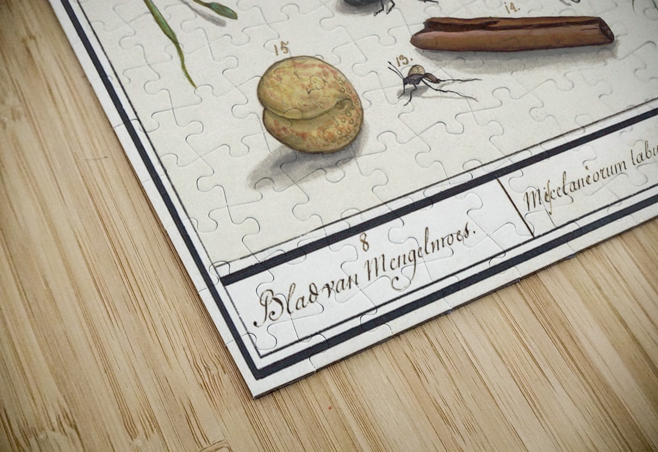 Nature ensemble in vintage style IStockHistory com Puzzle