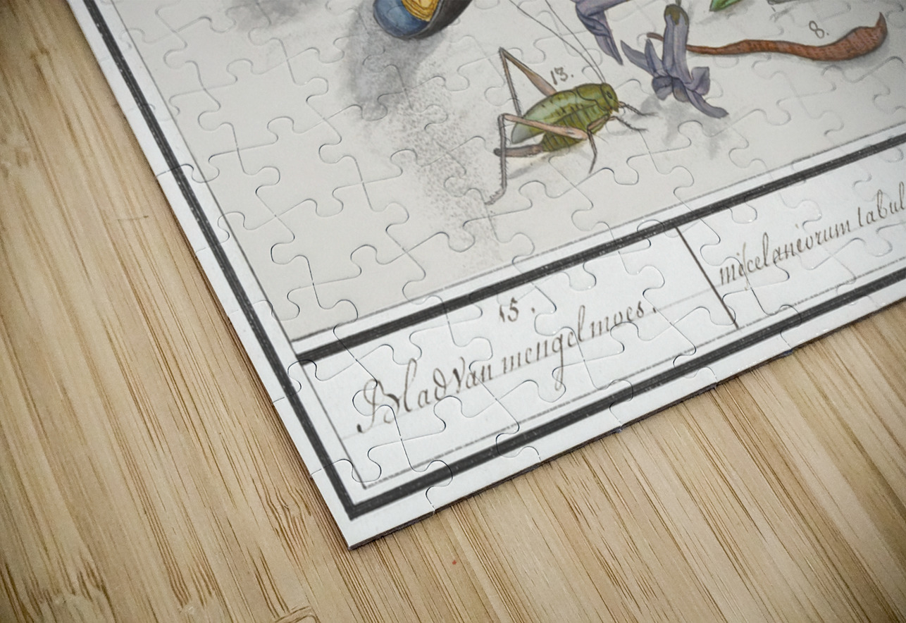 Nature ensemble in vintage style IStockHistory com Puzzle