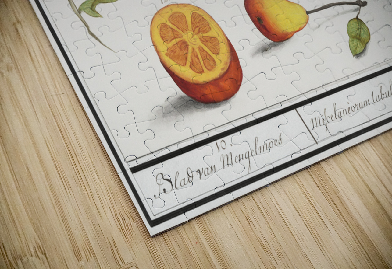 Grey parrot in vintage style IStockHistory com Puzzle