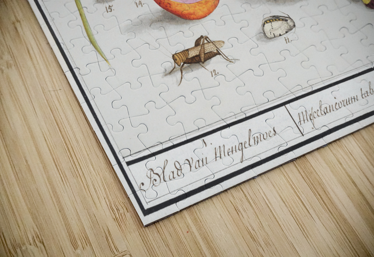 Nature ensemble in vintage style IStockHistory com Puzzle