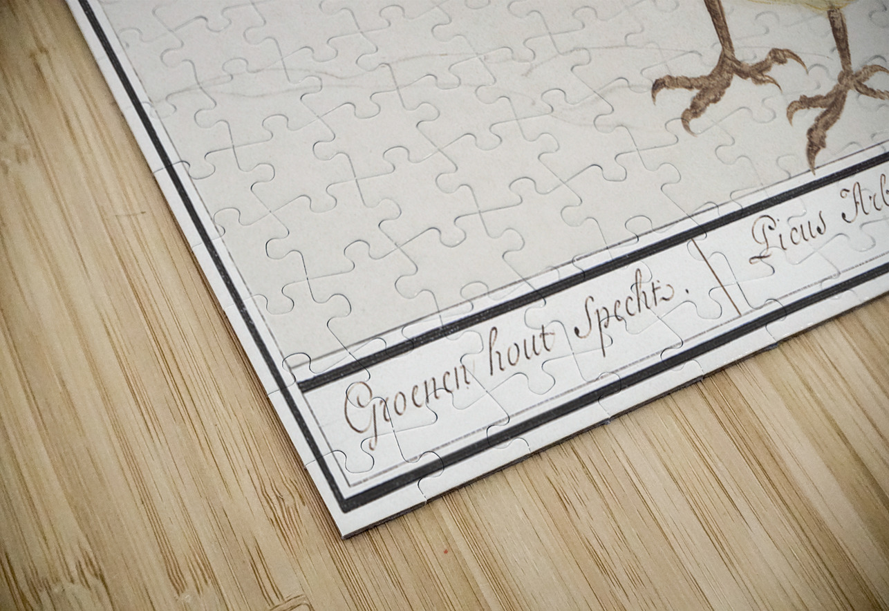 European green woodpecker in vintage style IStockHistory com Puzzle