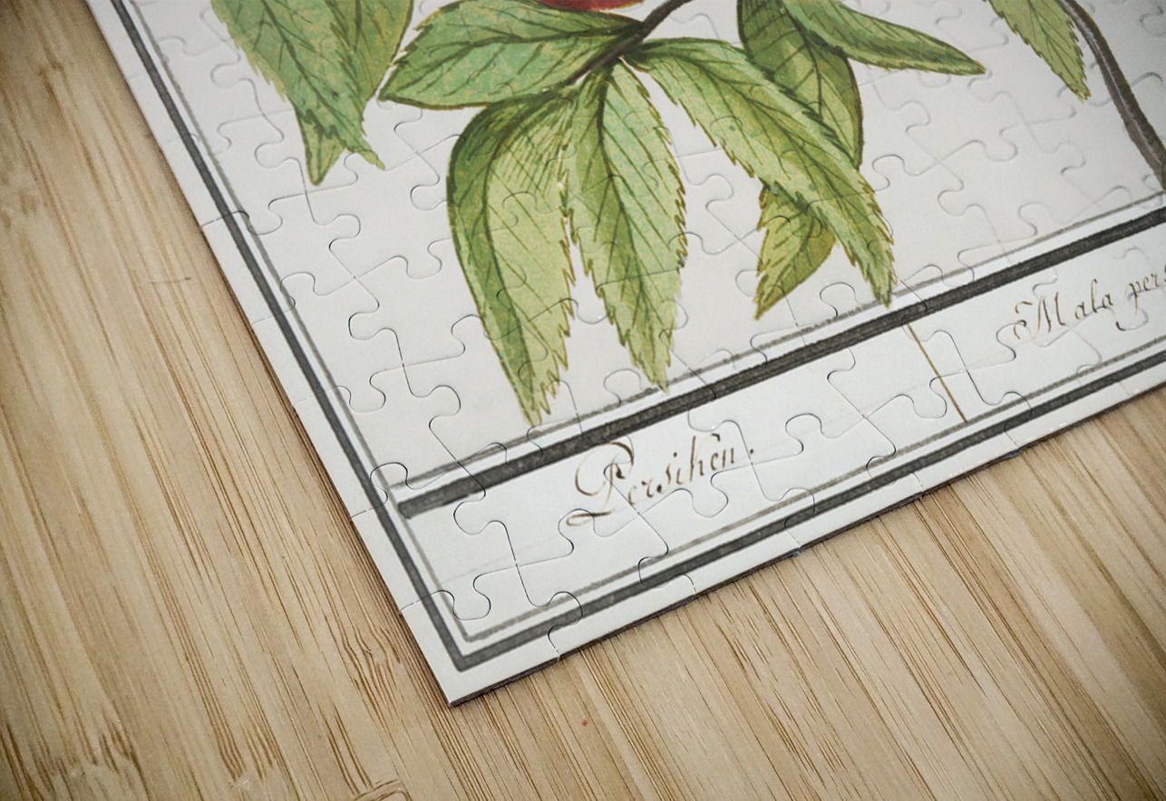 Tulip in vintage style IStockHistory com Puzzle