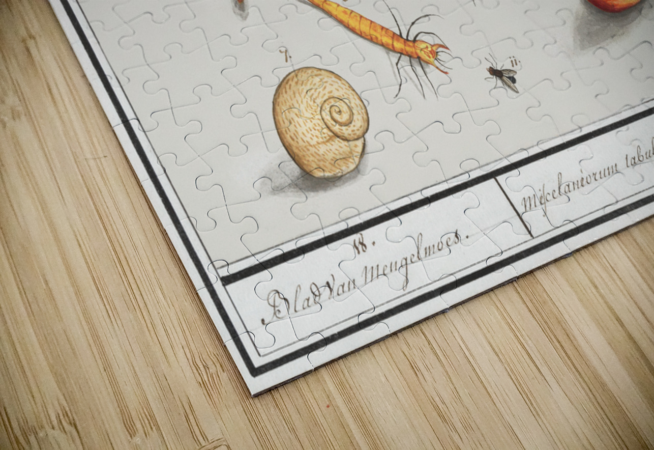 Nature ensemble in vintage style IStockHistory com Puzzle