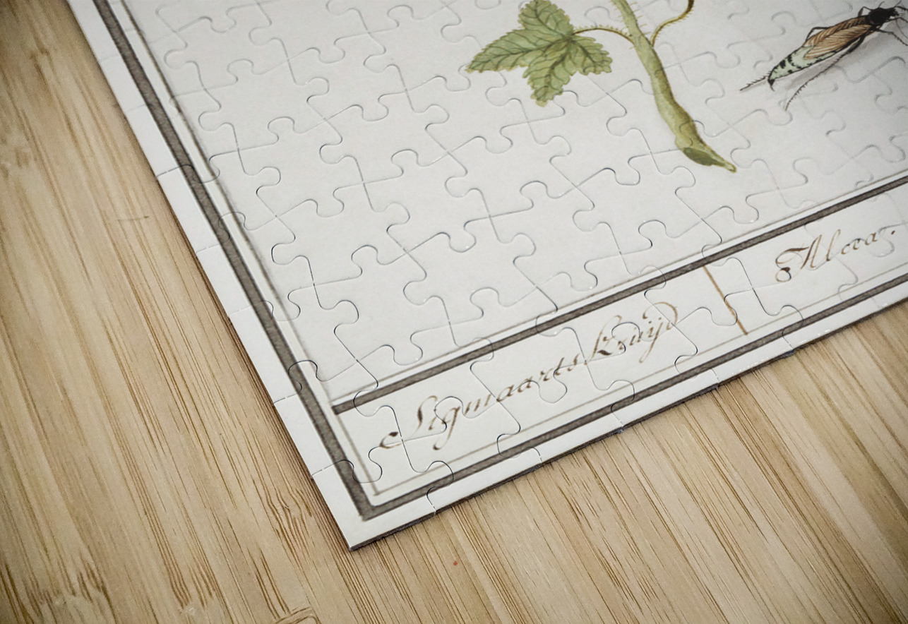 Tulip in vintage style IStockHistory com Puzzle