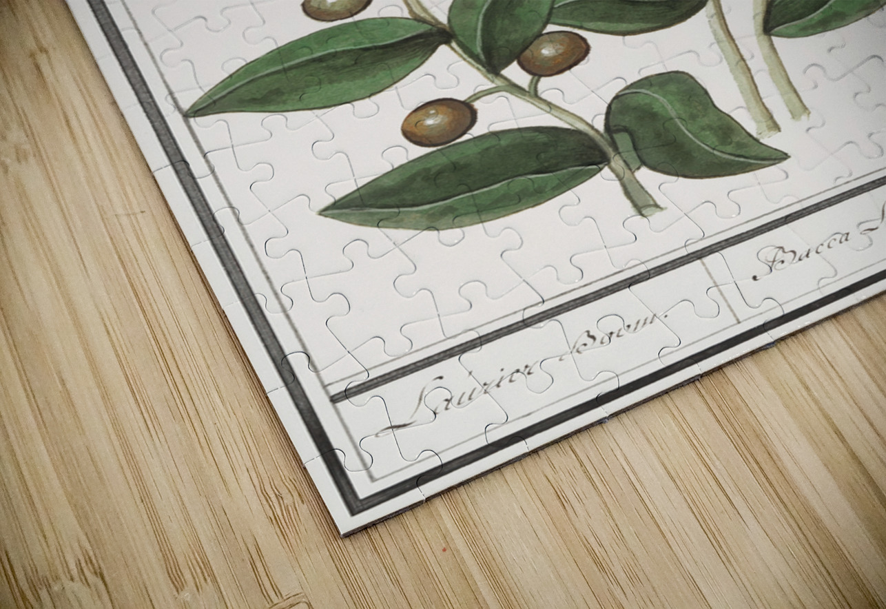 Olive in vintage style IStockHistory com Puzzle