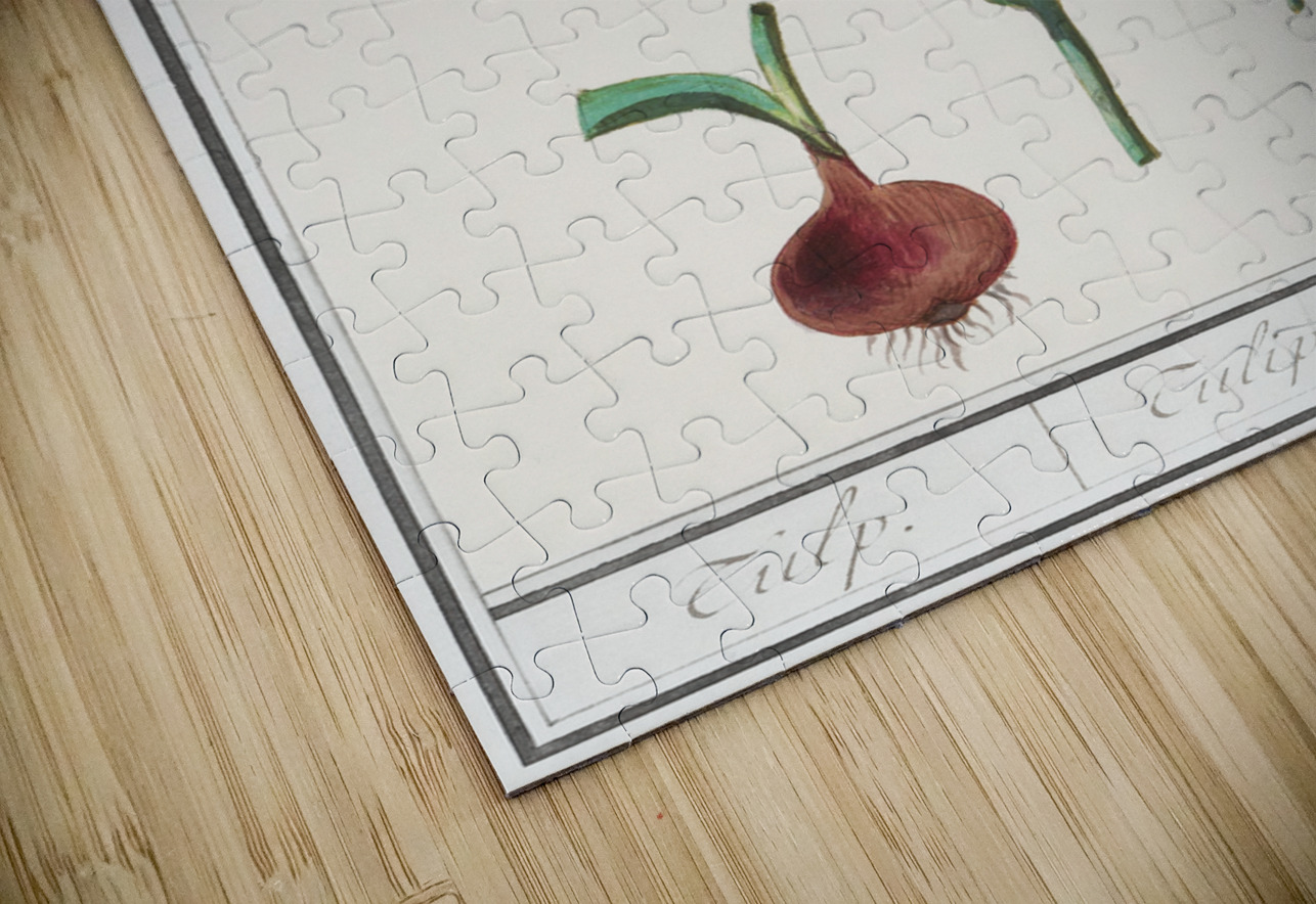 Tulip in vintage style IStockHistory com Puzzle