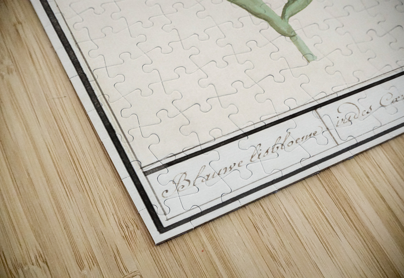 Purple iris in vintage style IStockHistory com Puzzle