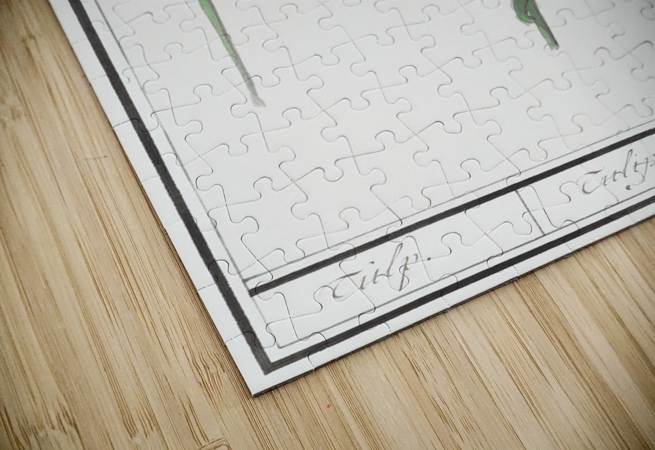 Tulip in vintage style IStockHistory com Puzzle