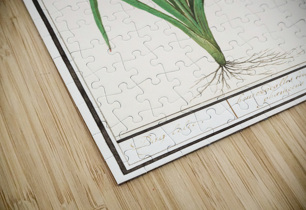 Orange daylily in vintage style IStockHistory com Puzzle