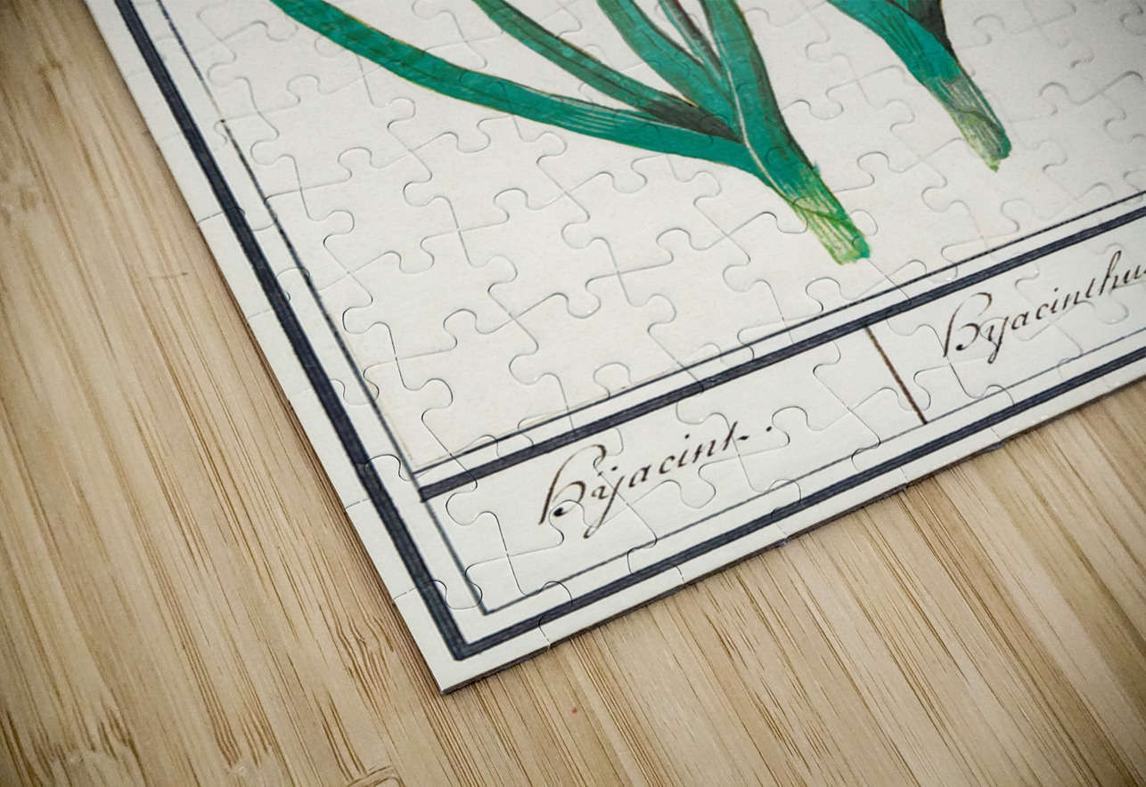 Hyacinth in vintage style IStockHistory com Puzzle