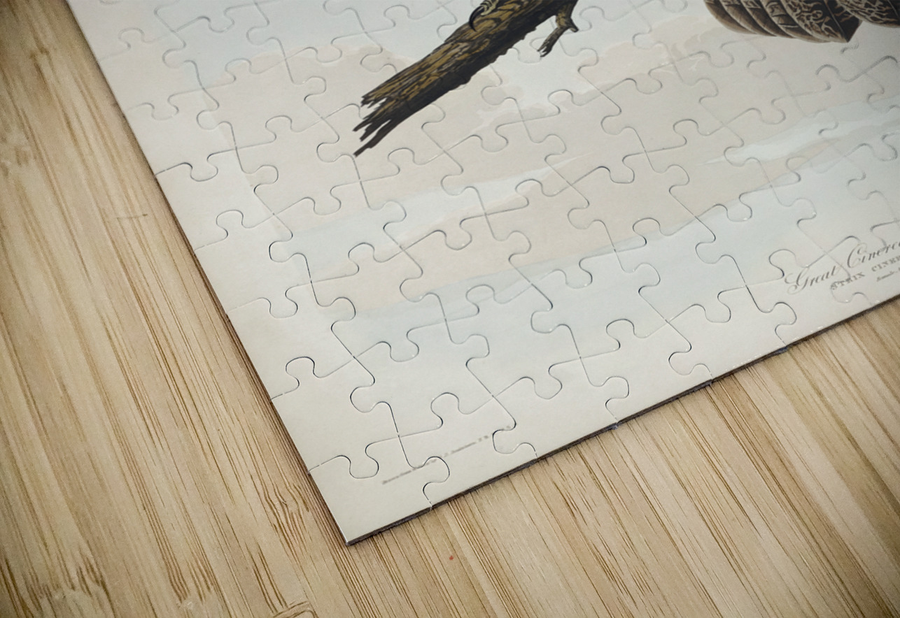 Great Cinereous Owl IStockHistory com Puzzle