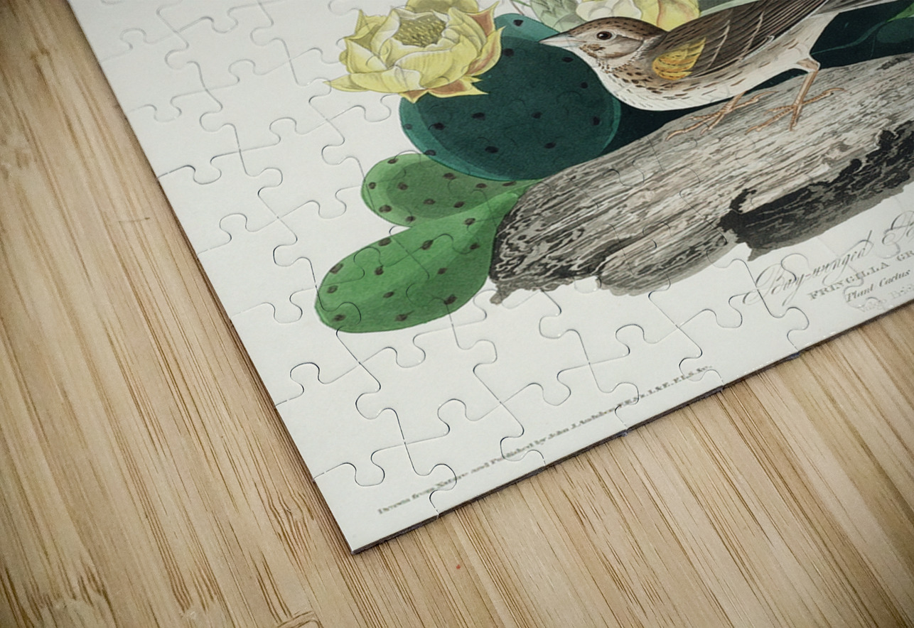 Grass Finch or Bay-winged Bunting IStockHistory com Puzzle