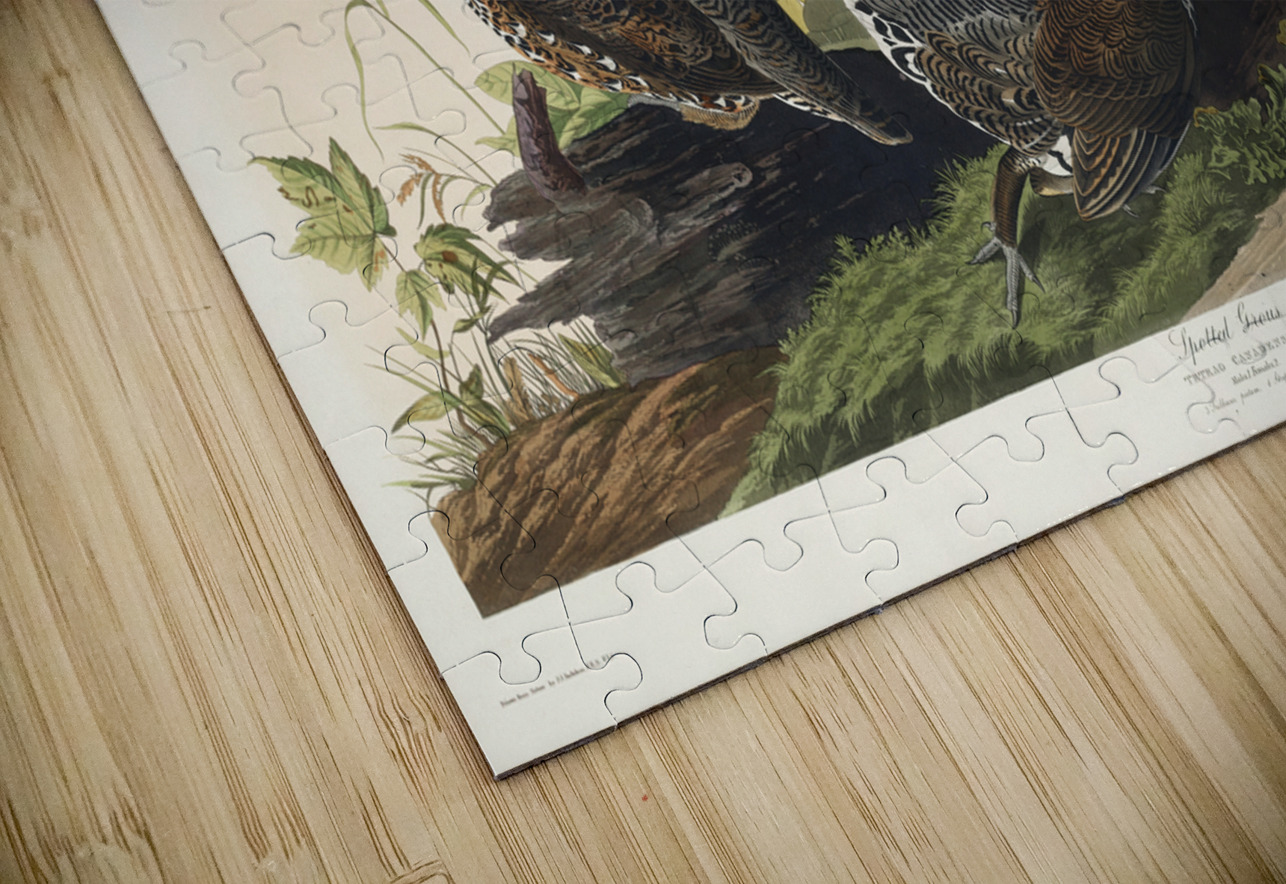 Spotted Grouse IStockHistory com Puzzle