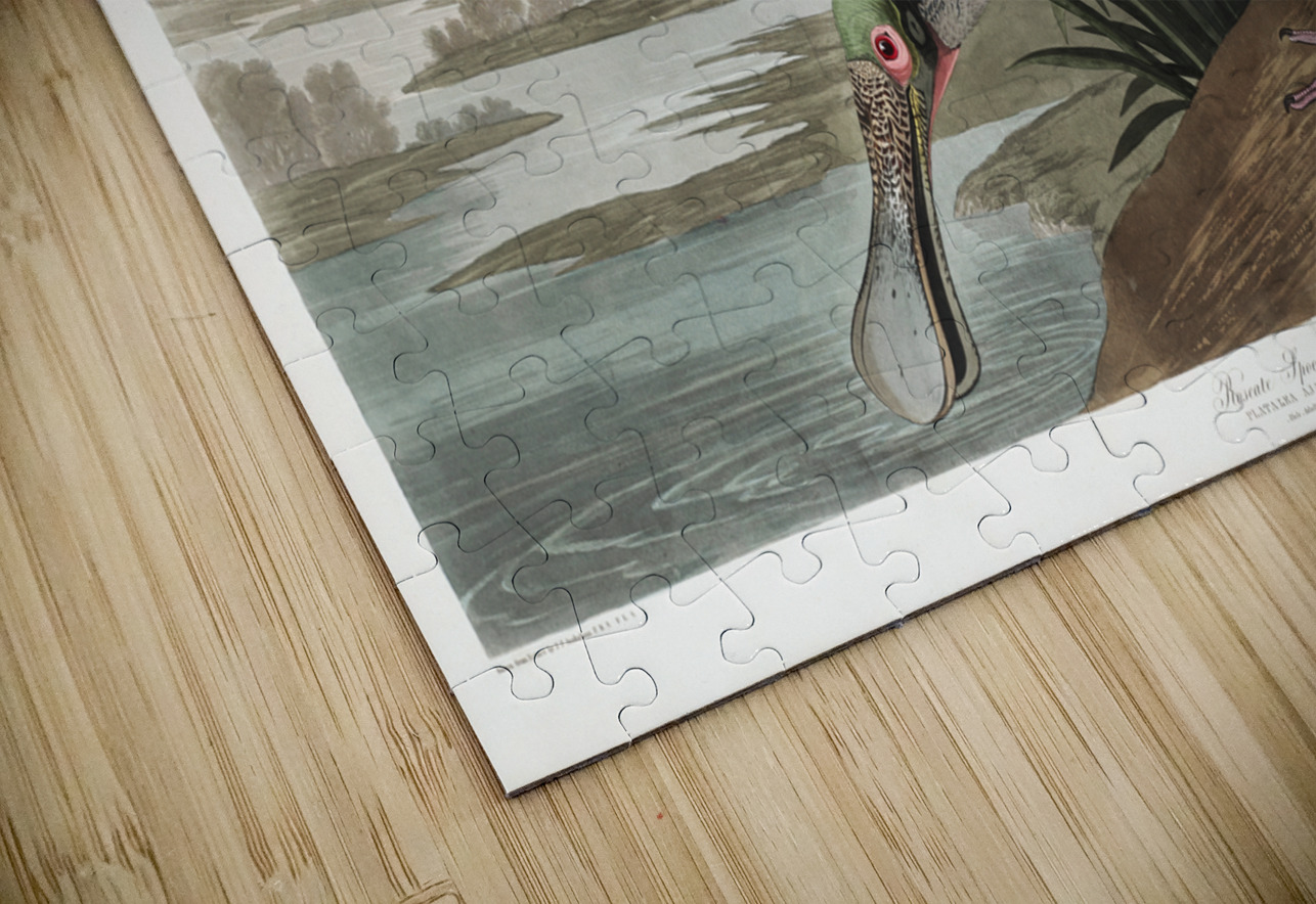 Roseate Spoonbill IStockHistory com Puzzle