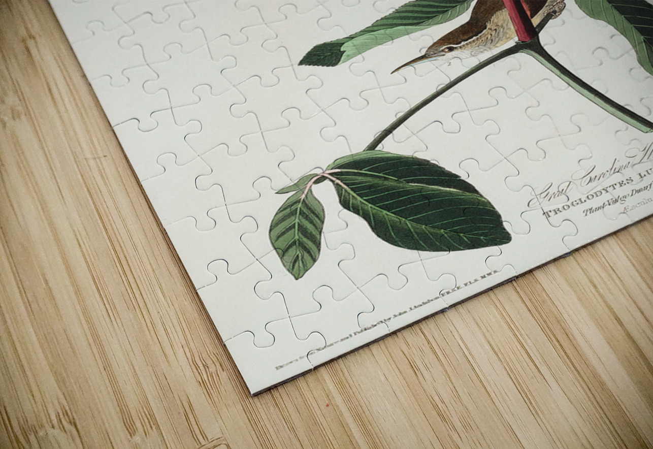 Great Carolina Wren IStockHistory com Puzzle