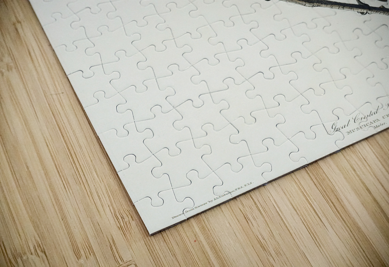 Great Crested Flycatcher IStockHistory com Puzzle