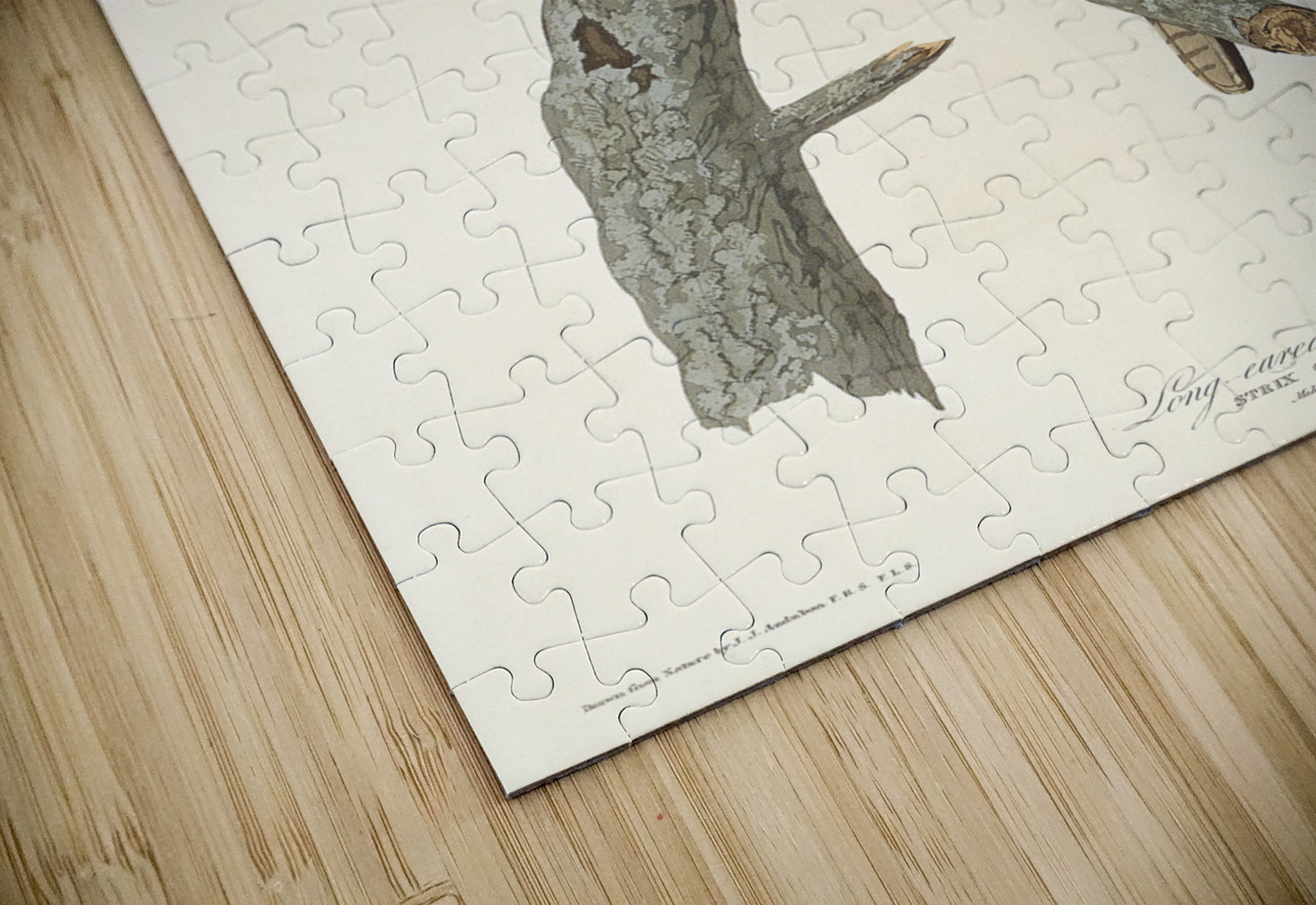 Long-eared Owl IStockHistory com Puzzle