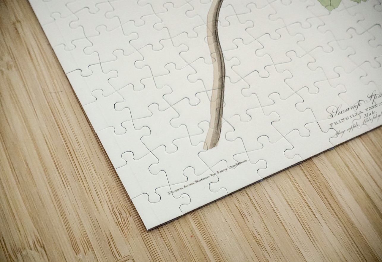 Swamp Sparrow IStockHistory com Puzzle