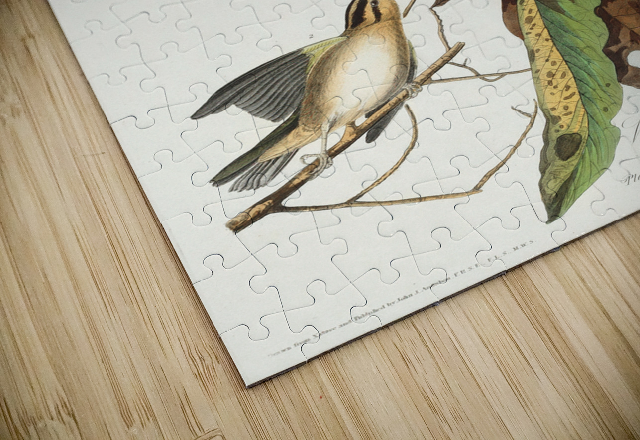 Worm eating Warbler IStockHistory com Puzzle