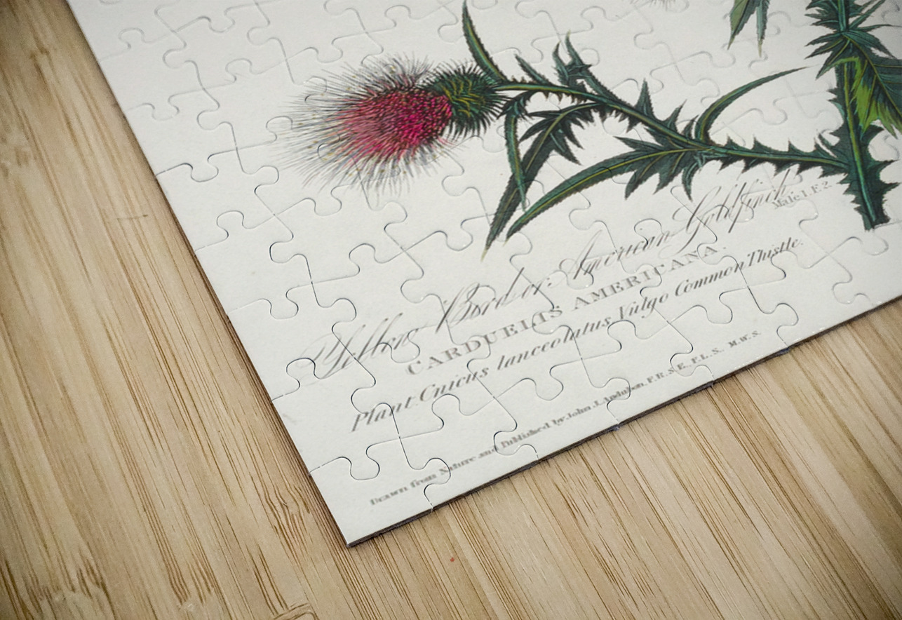 American Goldfinch IStockHistory com Puzzle