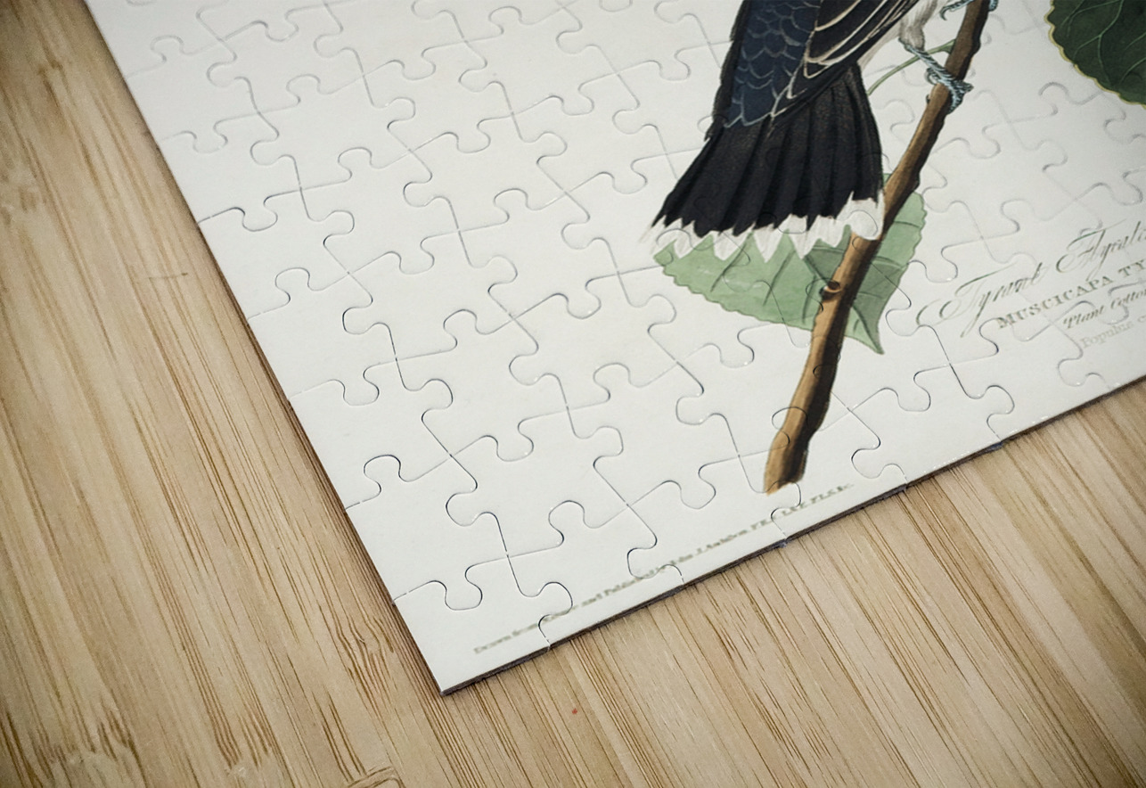 Tyrant Fly-catcher IStockHistory com Puzzle