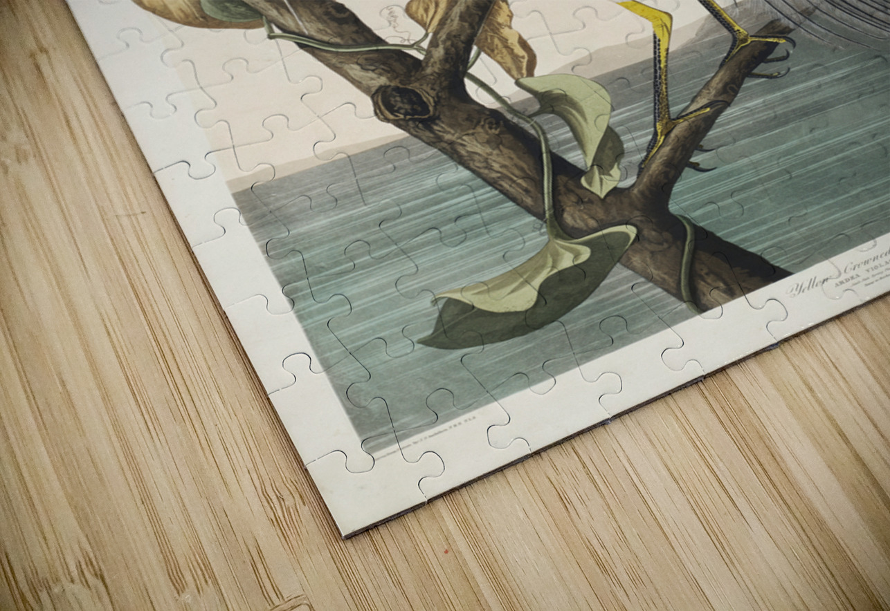 Yellow-Crowned Heron IStockHistory com Puzzle