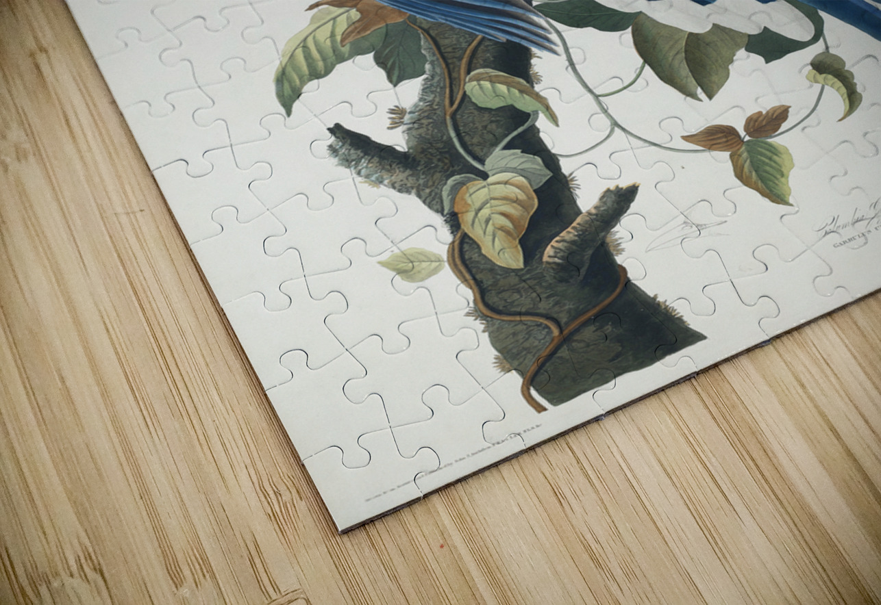 American Pied-billed IStockHistory com Puzzle