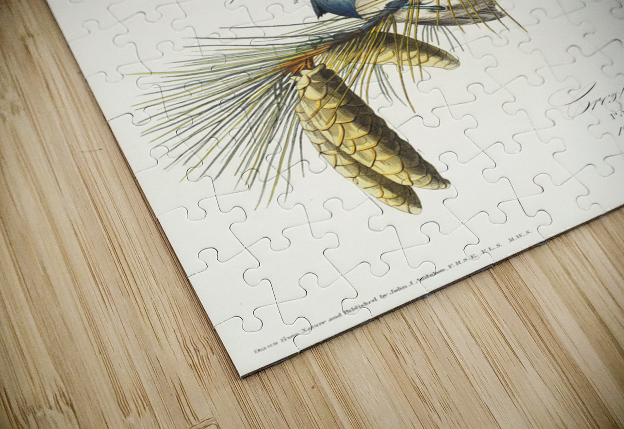 Crested Titmouse IStockHistory com Puzzle