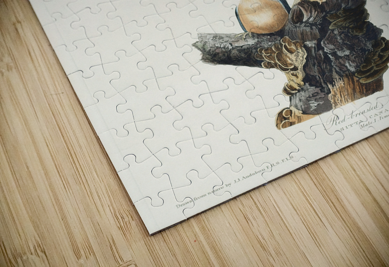 Red-breasted Nuthatch IStockHistory com Puzzle