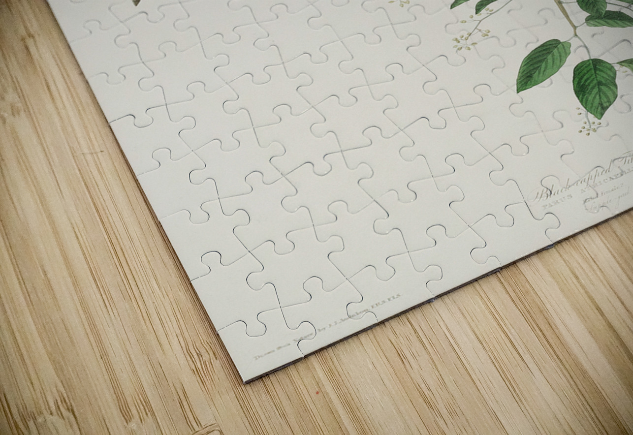 Carolina Titmouse IStockHistory com Puzzle