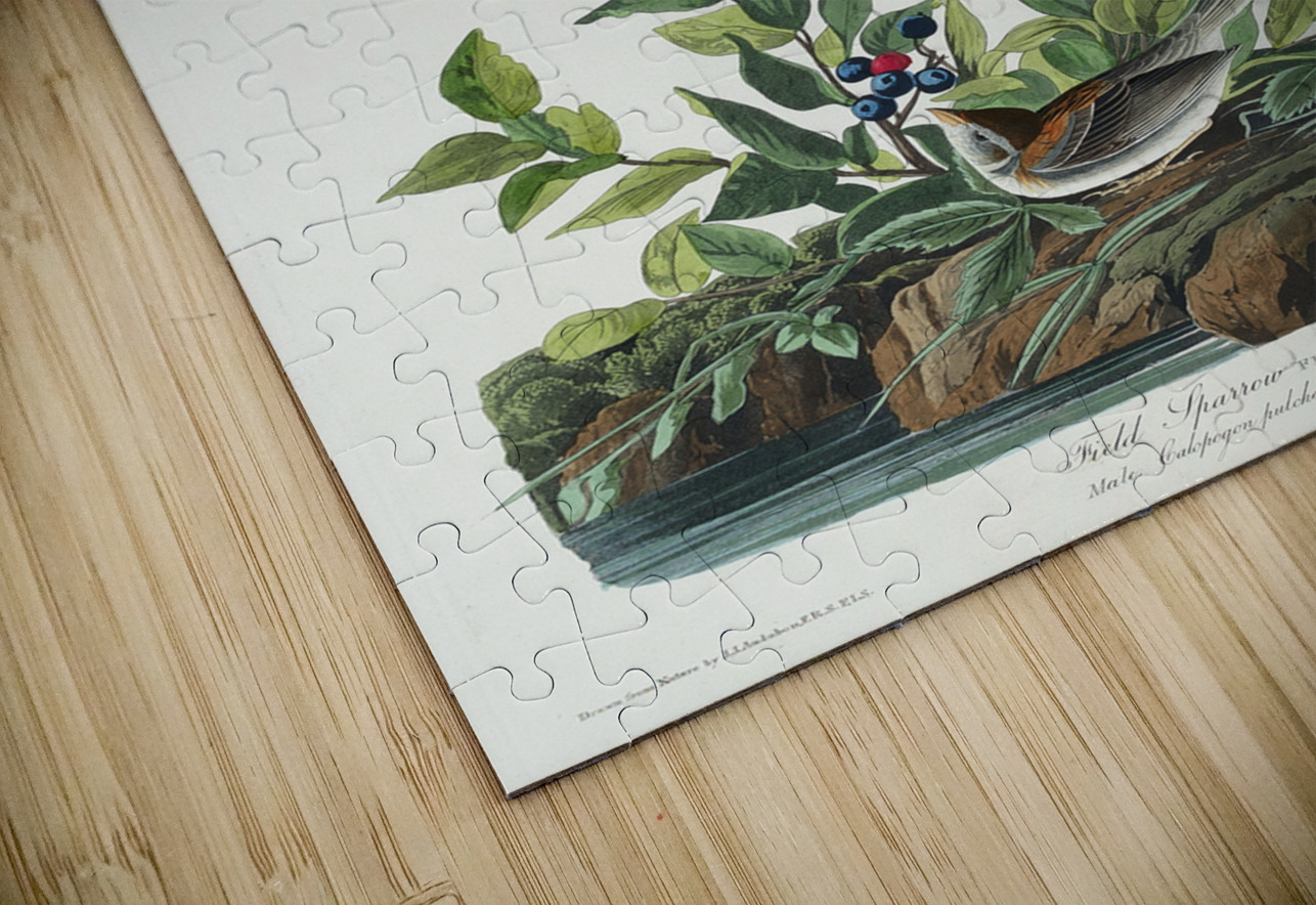 Field Sparrow IStockHistory com Puzzle