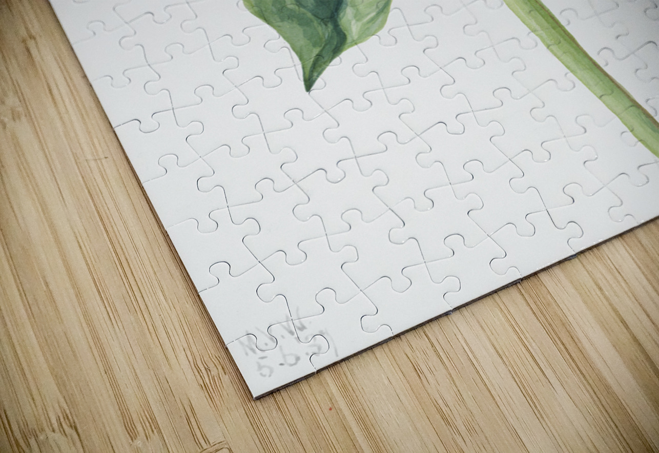 Water Lilies Castalia odorata 1879 IStockHistory com Puzzle