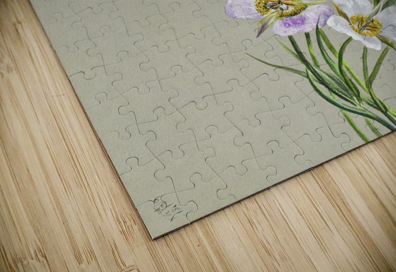 On the Road to Monument 1881 IStockHistory com Puzzle