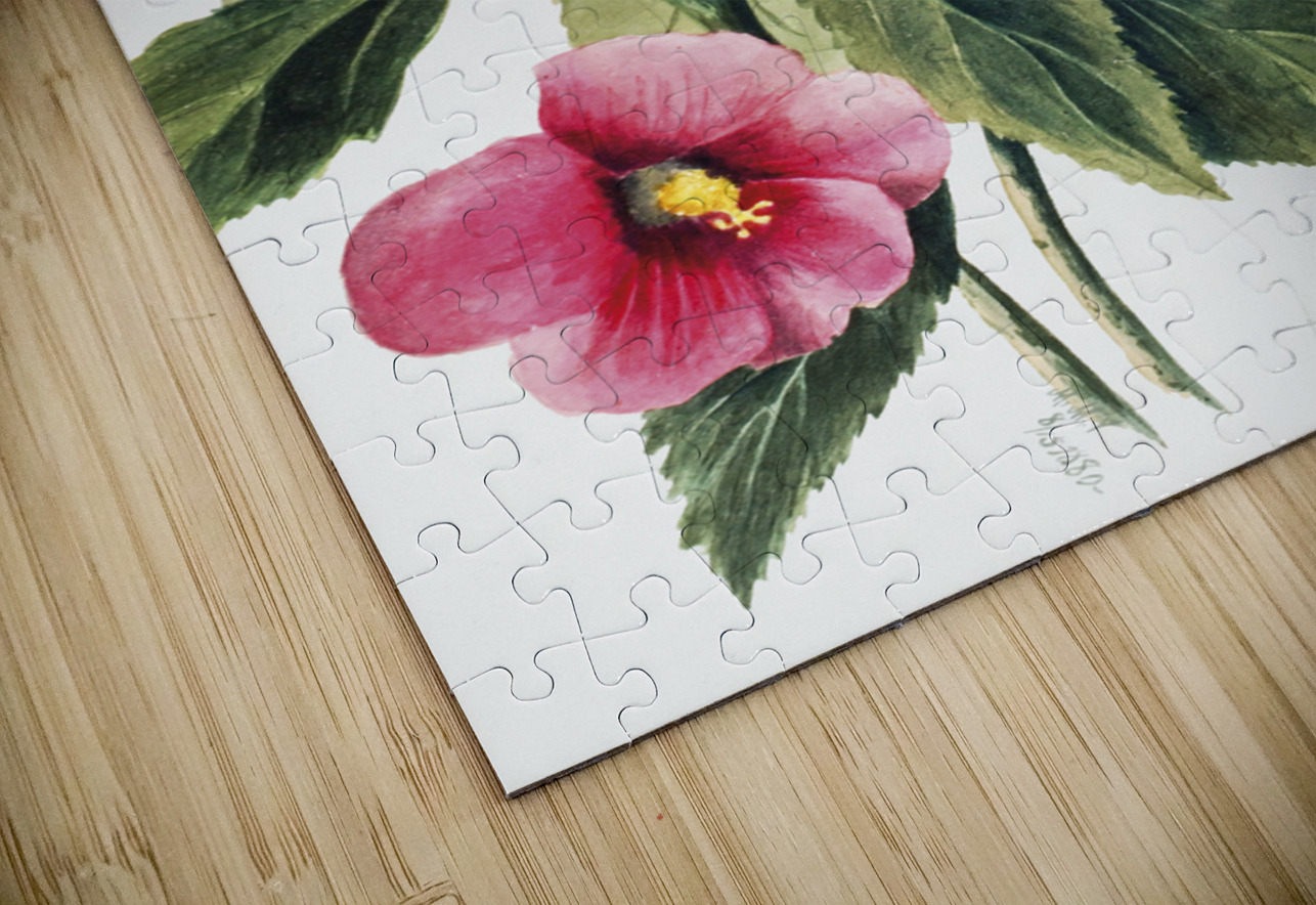 Rose Gentian Sabbatia angularis 1880  IStockHistory com Puzzle