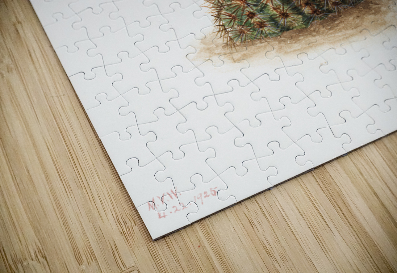 Cucumber Cactus 1939 IStockHistory com Puzzle