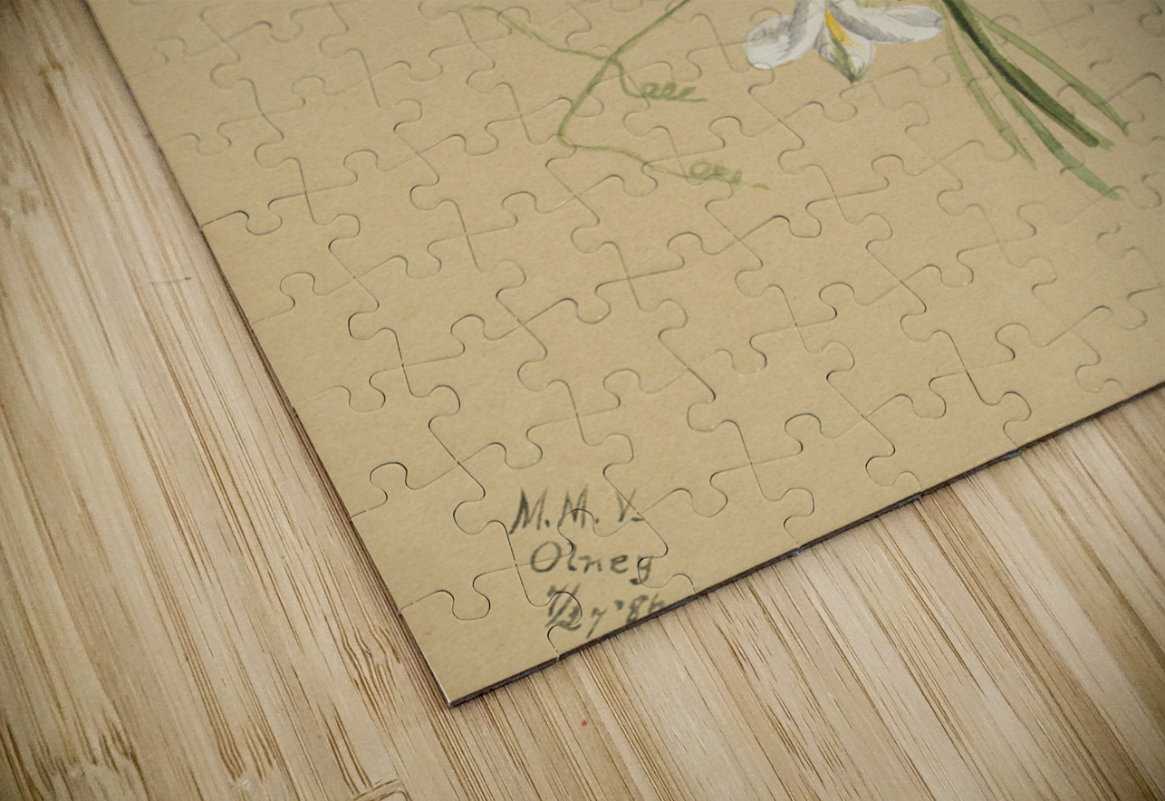 Flower Study 1886  IStockHistory com Puzzle