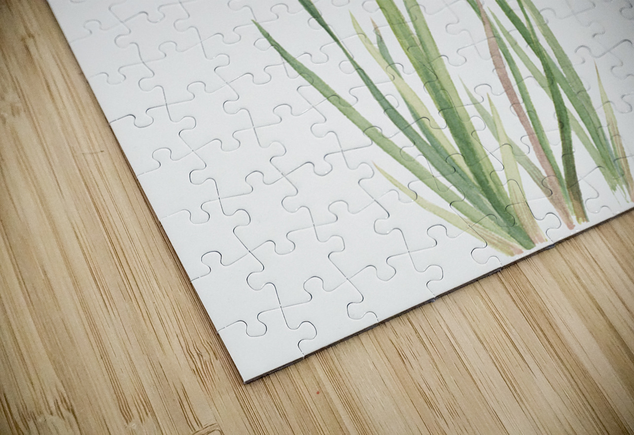 Blue-eyed-grass Sisyrinchium angustifolium 1920 IStockHistory com Puzzle