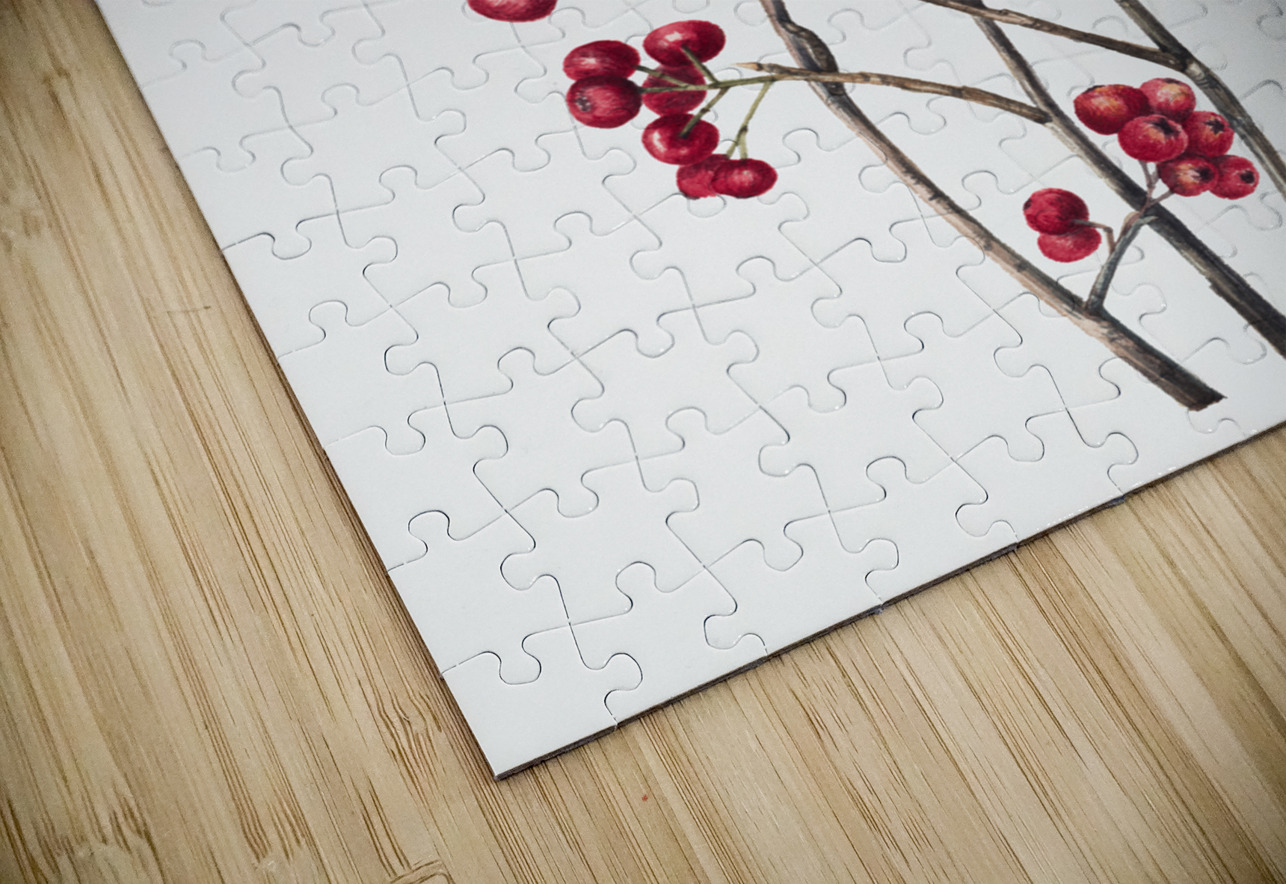 Red Chokeberry Aronia arbutifolia 1920 IStockHistory com Puzzle