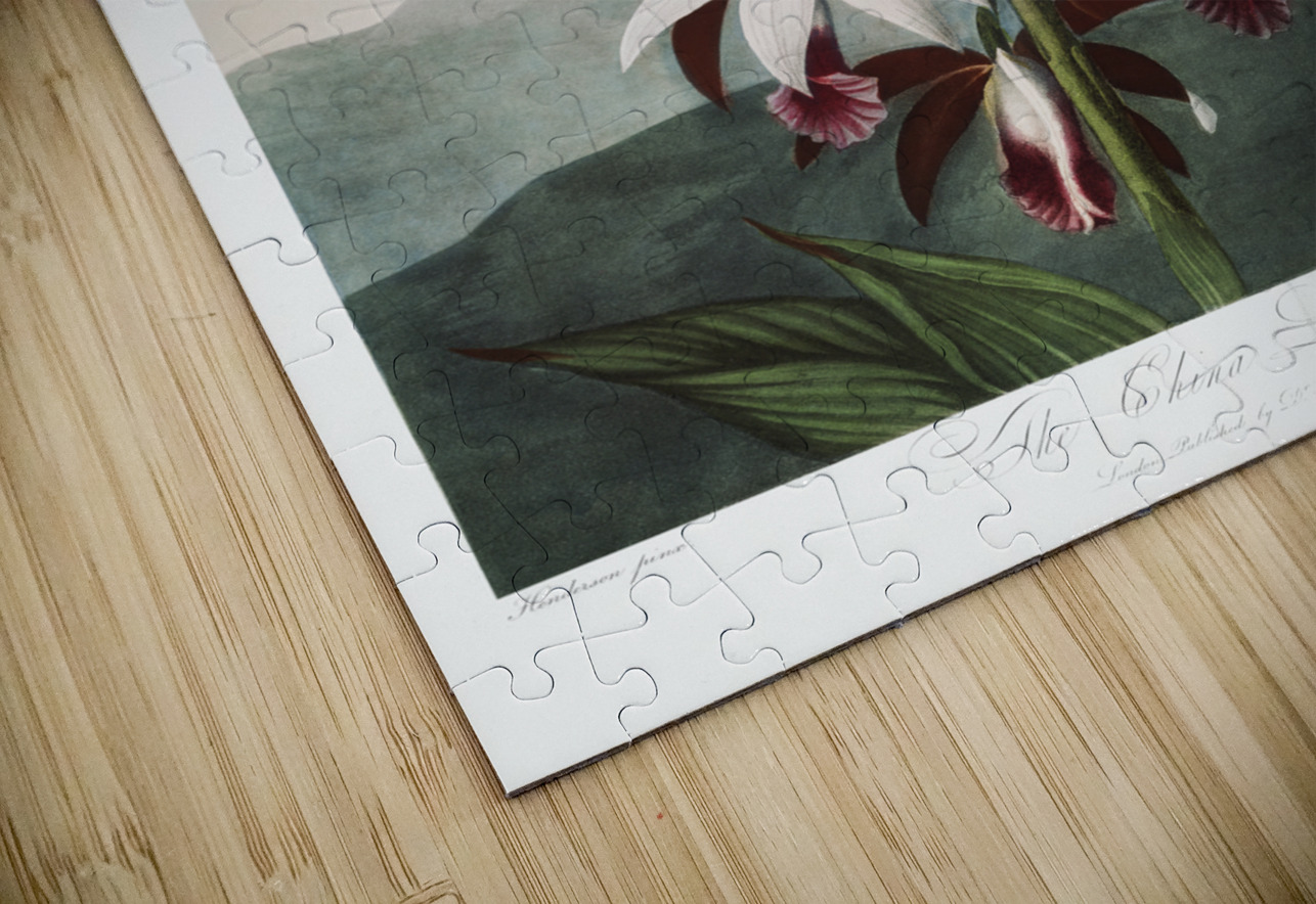 The Chinese Limodoron IStockHistory com Puzzle