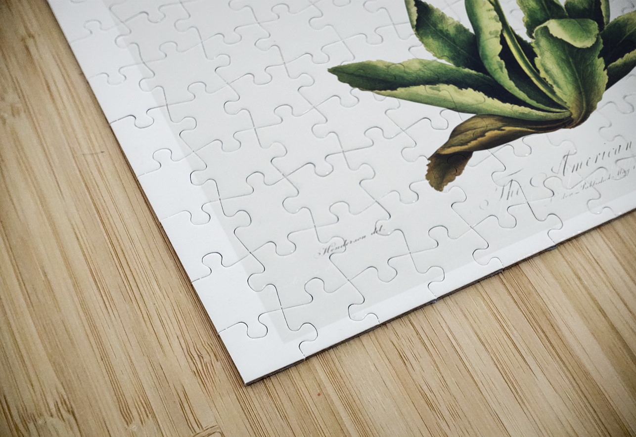 The American Cowslip IStockHistory com Puzzle