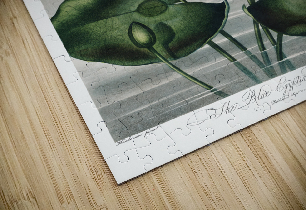 The Blue Egyptian Water-Lily IStockHistory com Puzzle