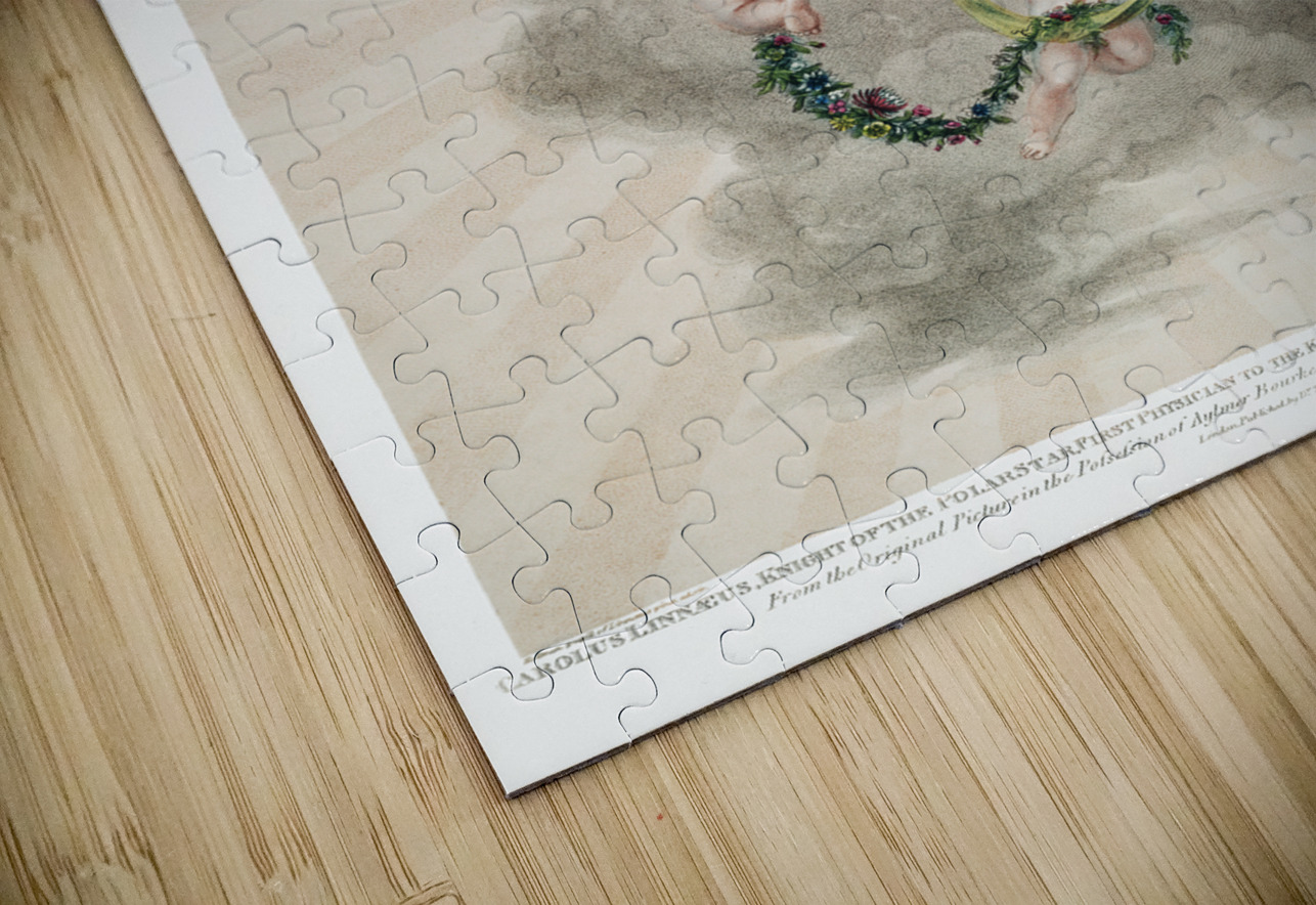 The Portrait of Carl Linnaeus  IStockHistory com Puzzle