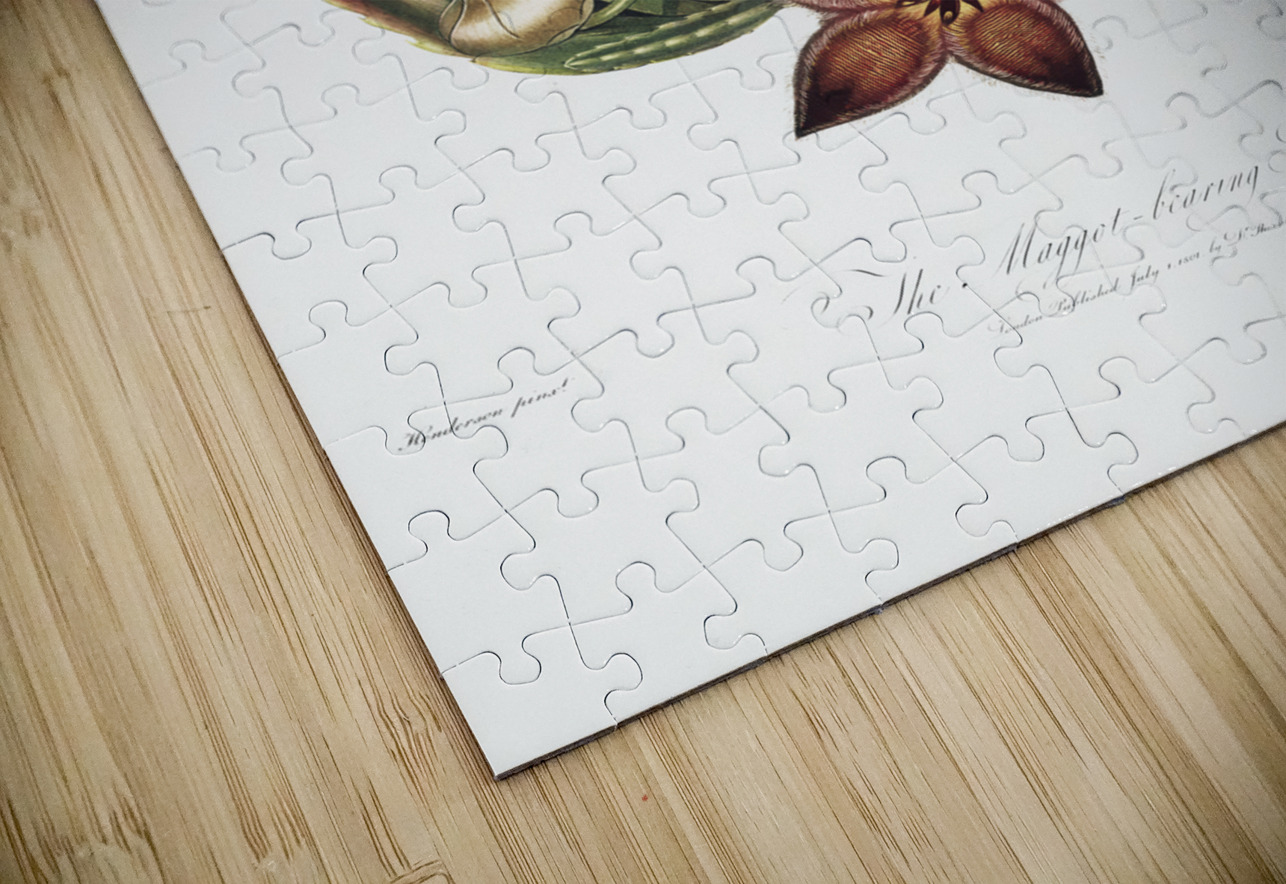 The Maggot–Bearing Stapelia IStockHistory com Puzzle