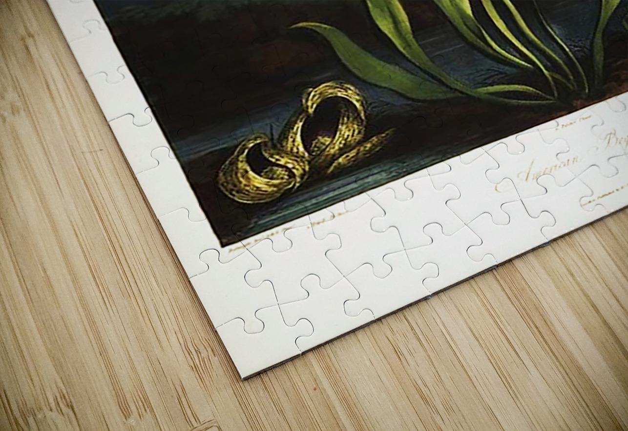 American Bog Plants IStockHistory com Puzzle