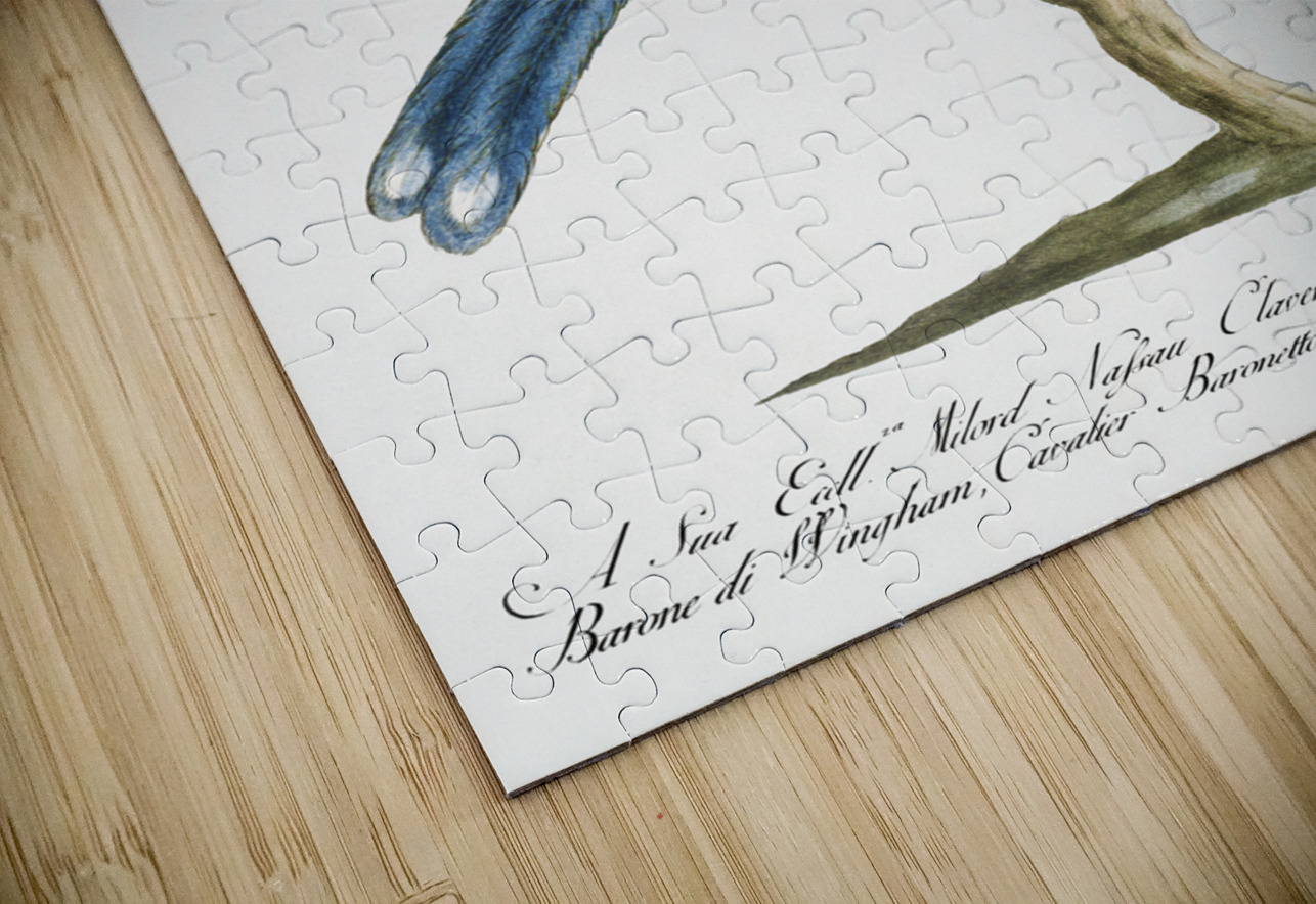 Cucule celeste della China Cuckoo IStockHistory com Puzzle