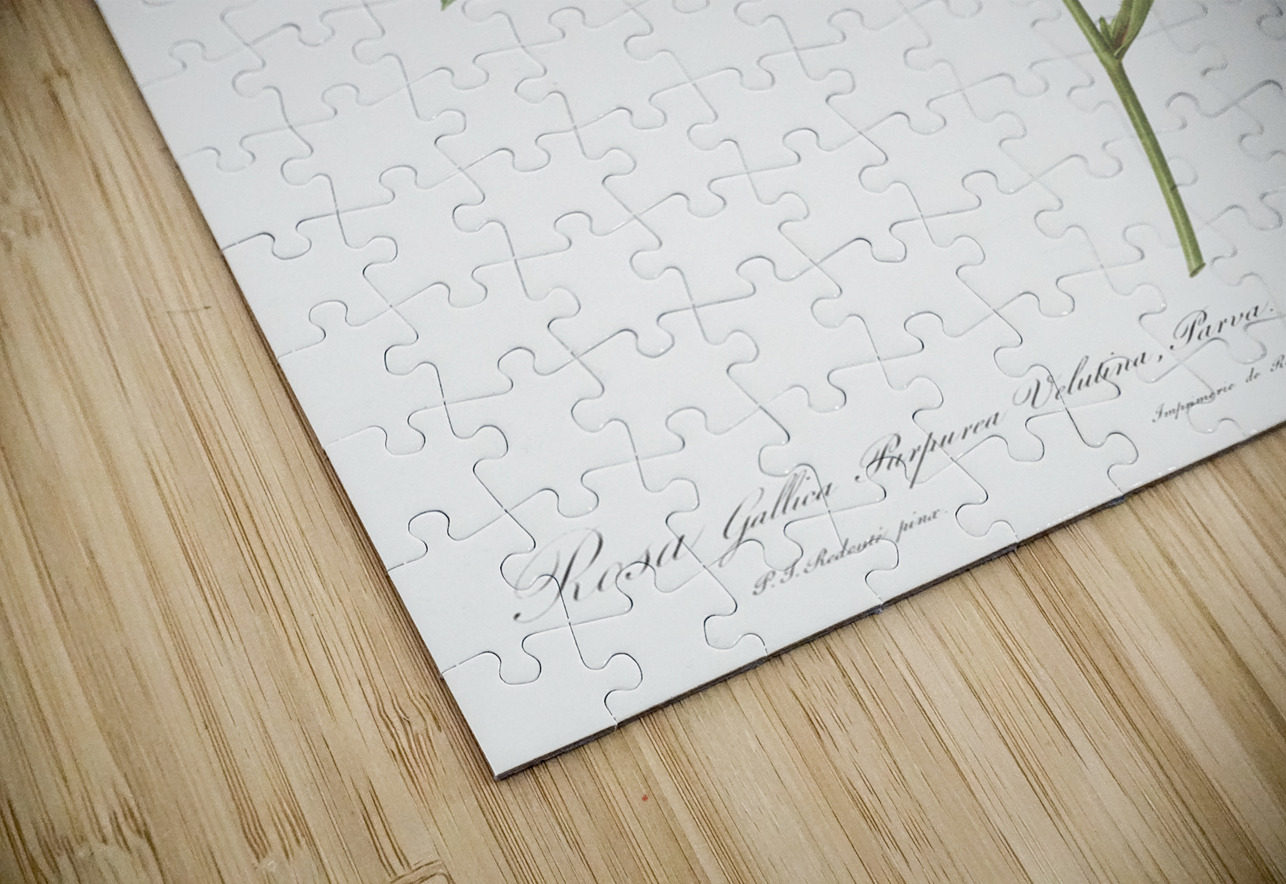 Van eeden rose IStockHistory com Puzzle