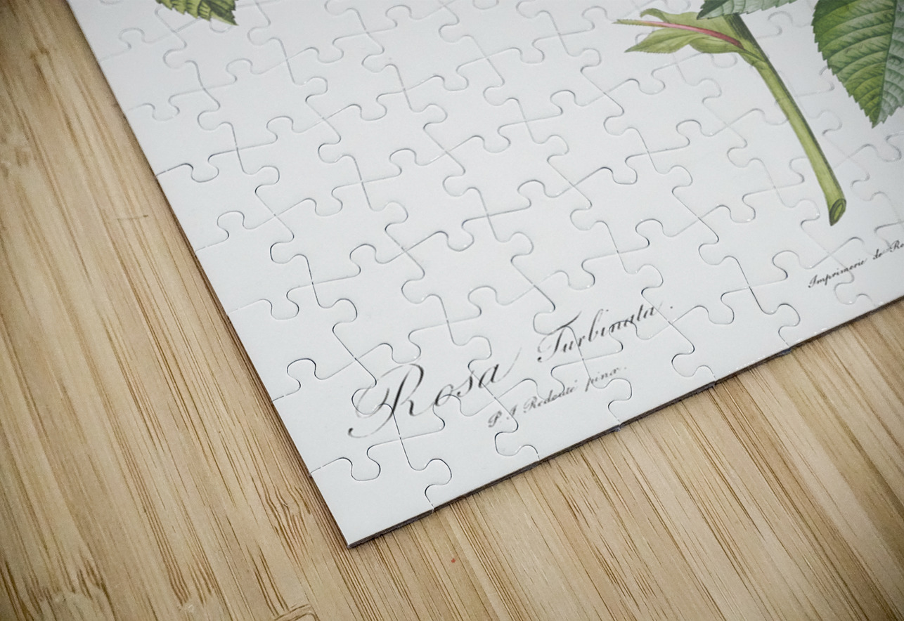 Pink french roses IStockHistory com Puzzle