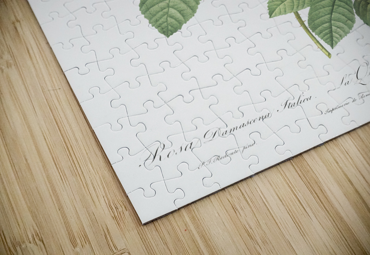 Vintage Leschenaults Rose IStockHistory com Puzzle