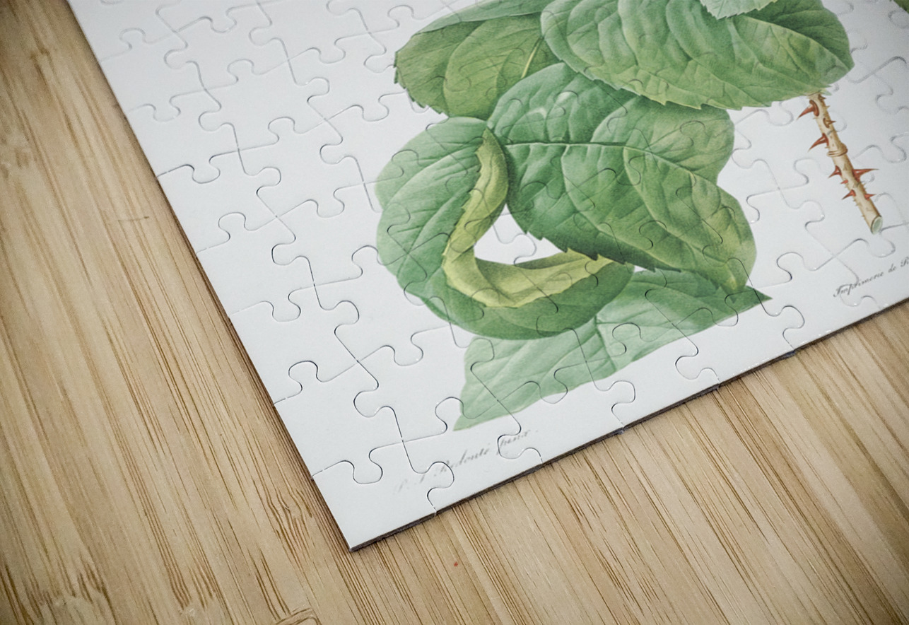 Vintage Provence rose IStockHistory com Puzzle