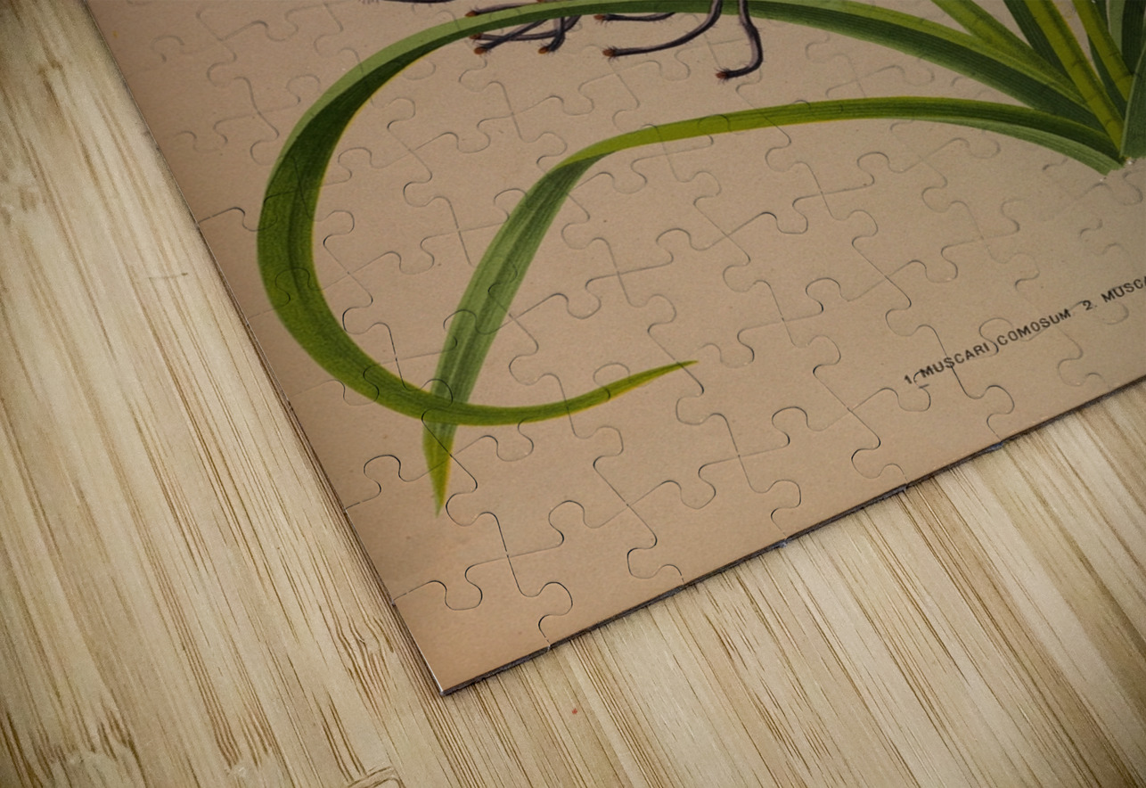 Album van Eeden : Haarlems flora : 1872-1881 IStockHistory com Puzzle